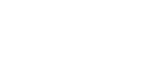 vertix logo